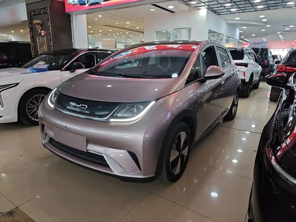 BYD Dolphin — миниатюра 2