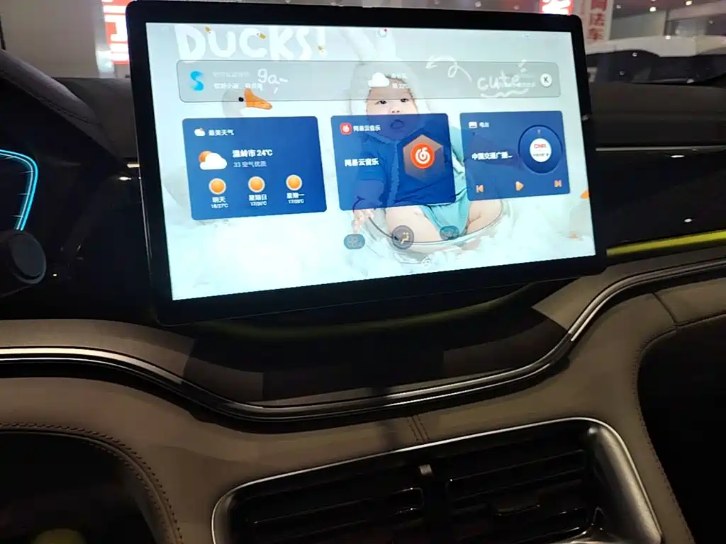 BYD PLUS New Energy — миниатюра 13