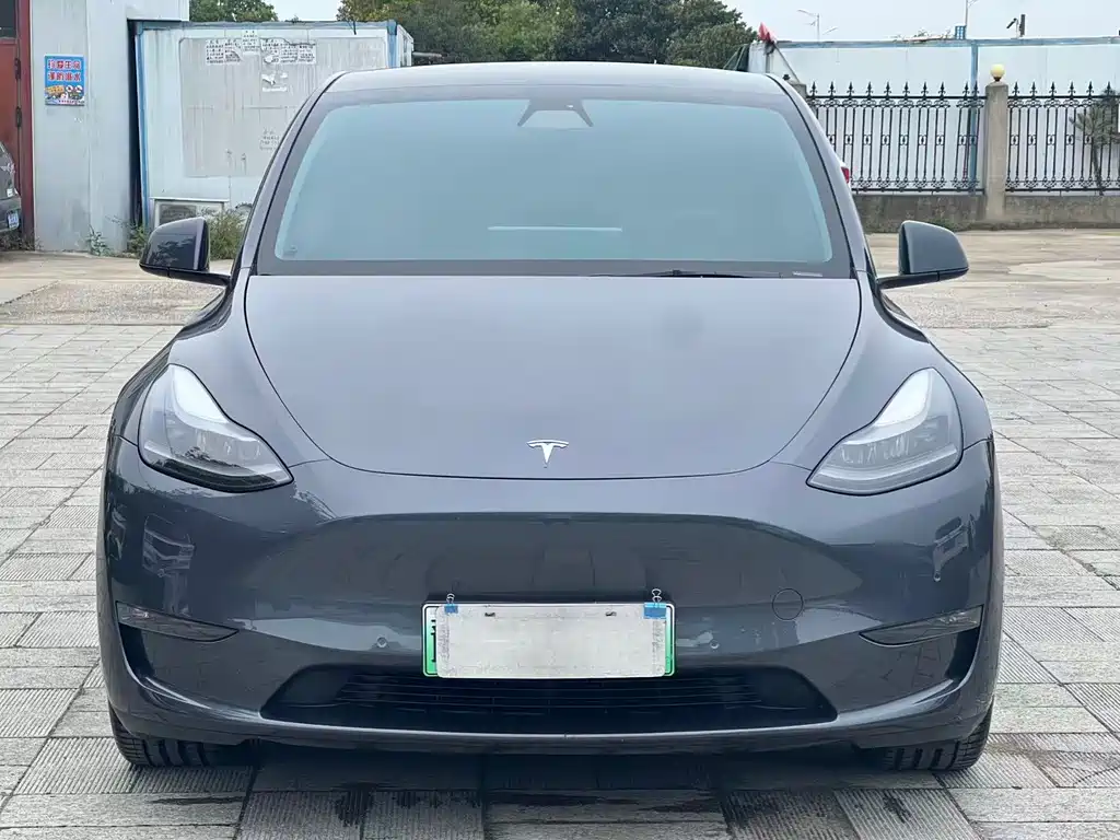 Tesla Model Y — миниатюра 2