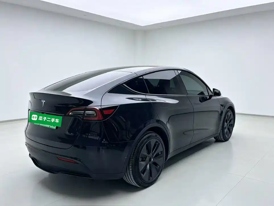 Tesla Model Y — миниатюра 7