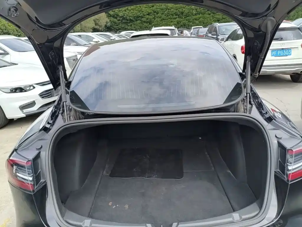 Tesla Model 3 — миниатюра 19