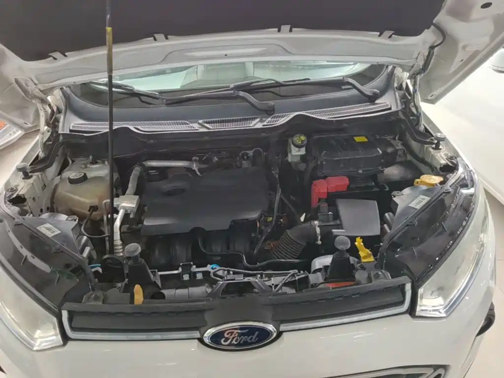 Ford Ecosport — миниатюра 20