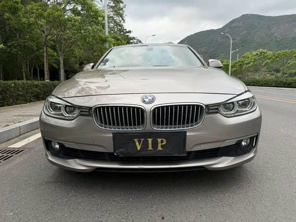 BMW 3 Series 3 2018 318Li