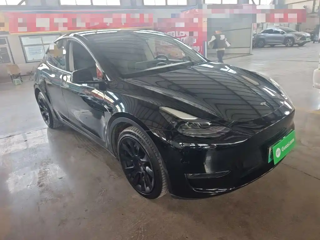 Tesla Model Y — миниатюра 4