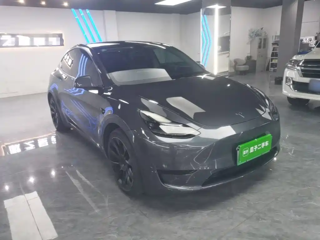 Tesla Model Y — миниатюра 4
