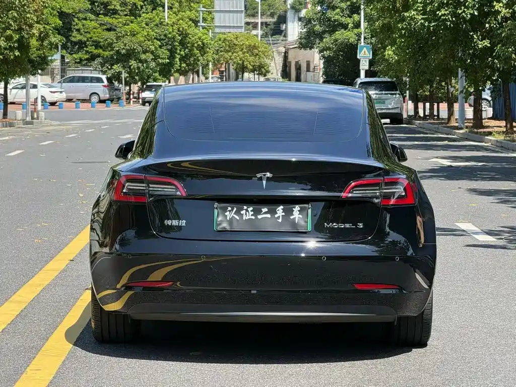Tesla Model 3 — миниатюра 5