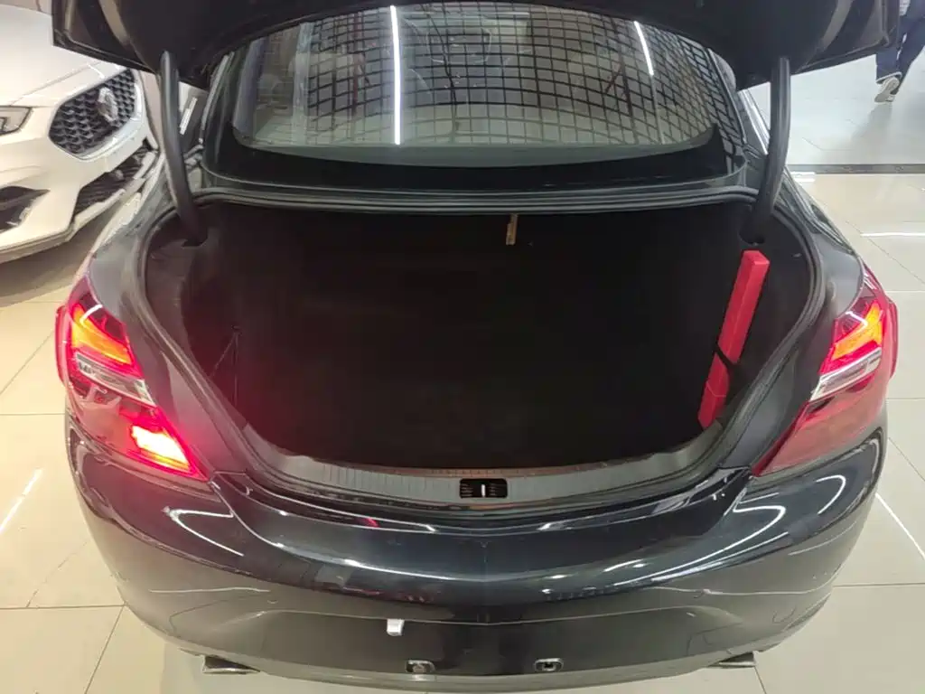 Buick Regal — миниатюра 19