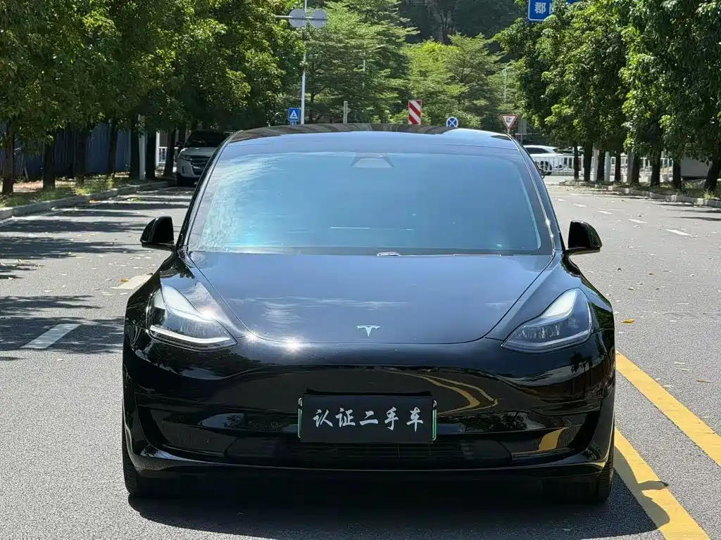 Tesla Model 3 — миниатюра 2