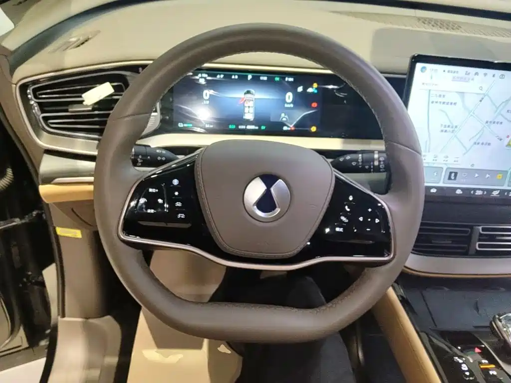 Denza Denza D9 — миниатюра 11