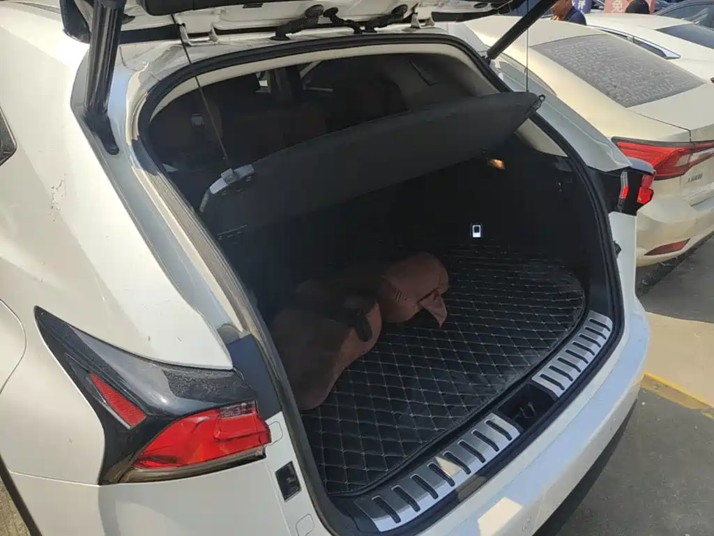 Lexus NX — миниатюра 19