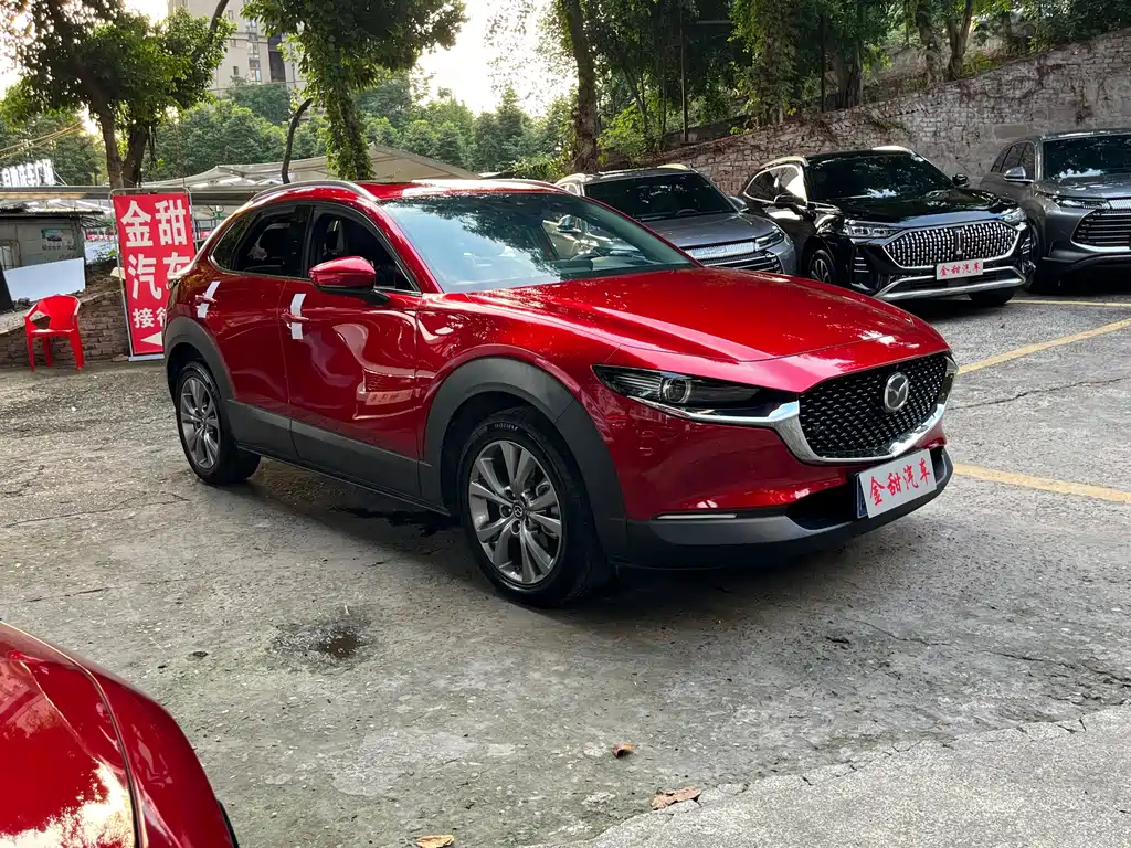 Mazda CX-30 — миниатюра 7