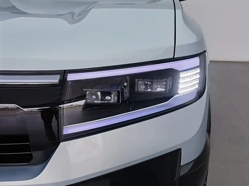 FANG CHENG BAO LEOPARD 8