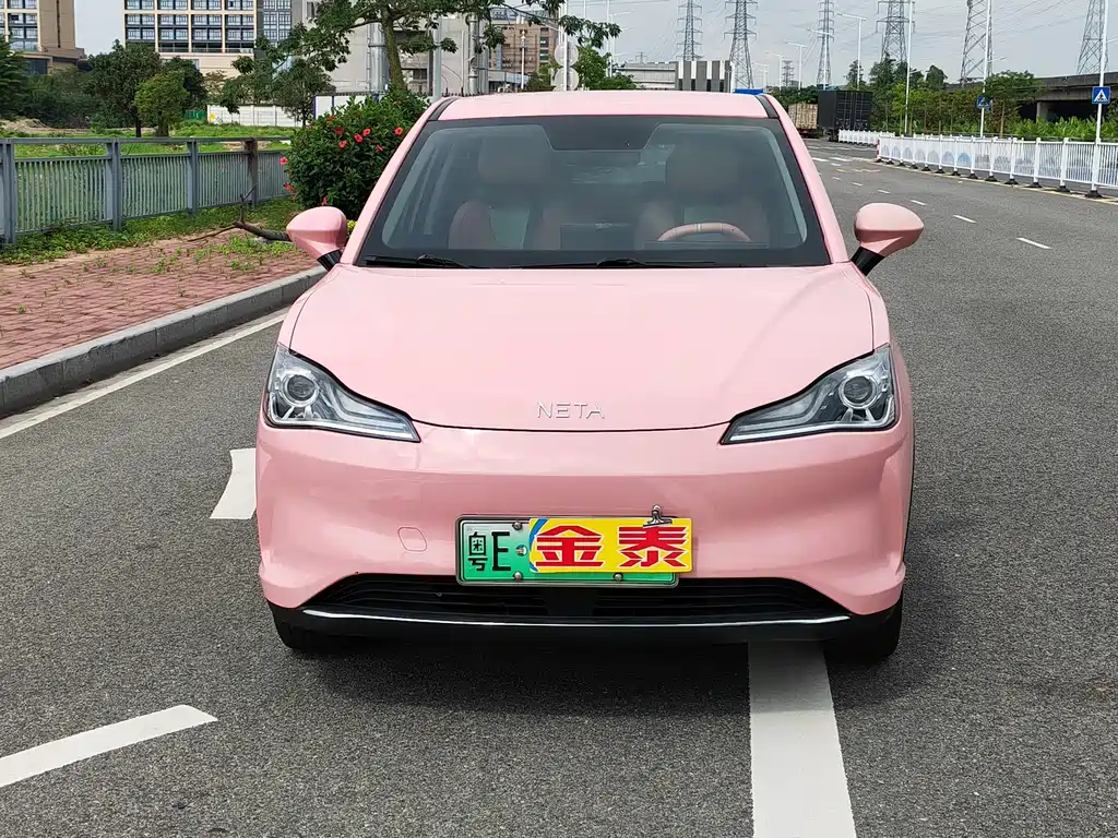 Neta Neta V 2022