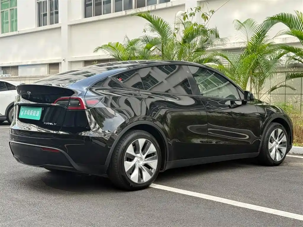Tesla Model Y — миниатюра 13