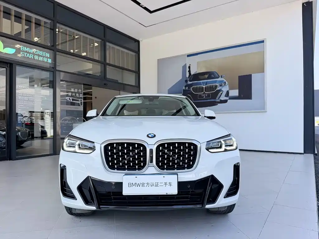BMW X4 — миниатюра 4