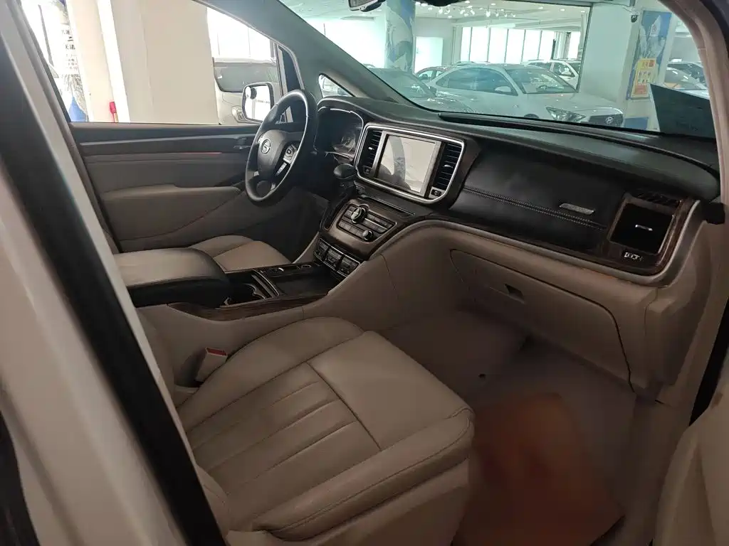 GAC Motor Trumpchi M8 — миниатюра 8