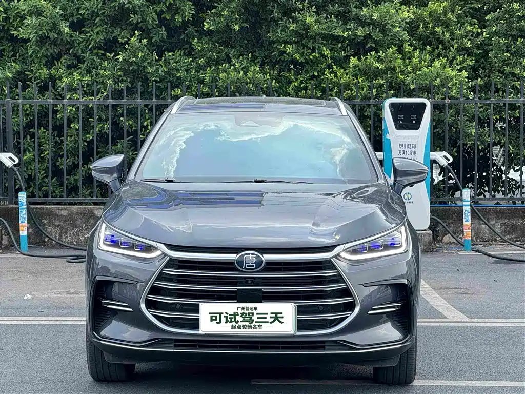 BYD Tang PHEV 2021 — фото 2