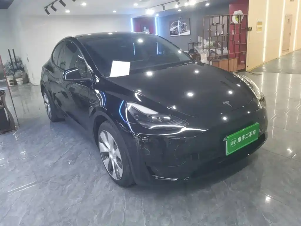 Tesla Model Y — миниатюра 4
