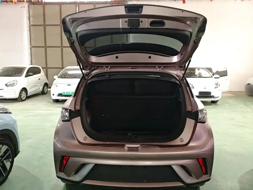 BYD Dolphin — миниатюра 19