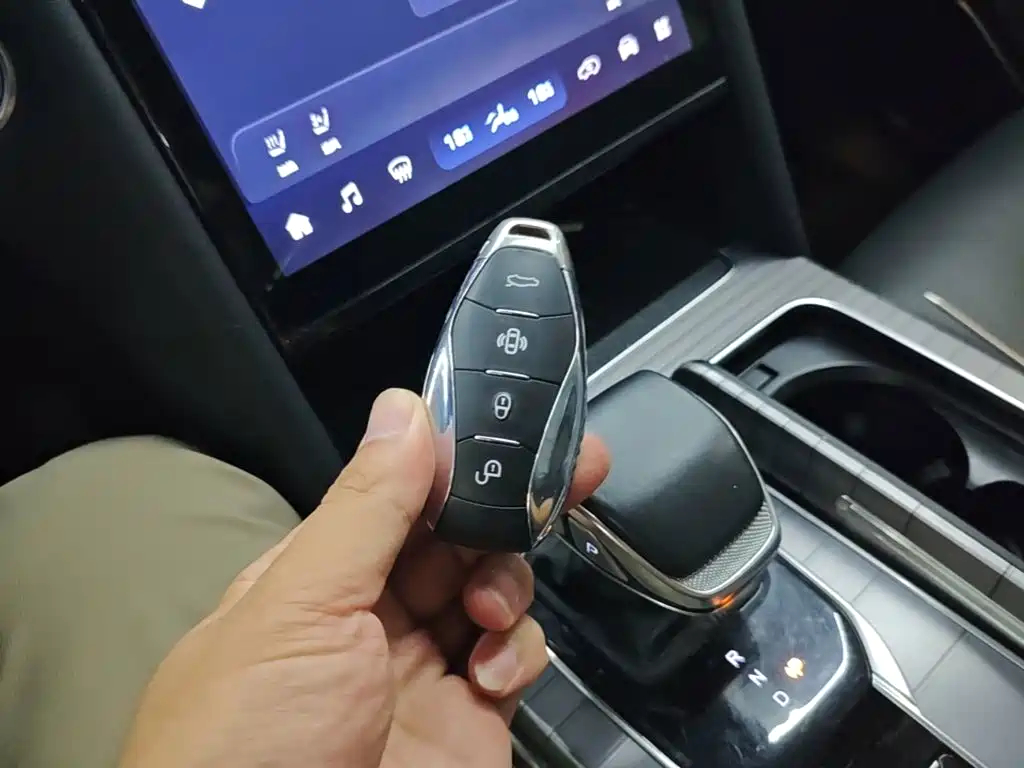 Hongqi Hongqi HS7 PHEV — миниатюра 9