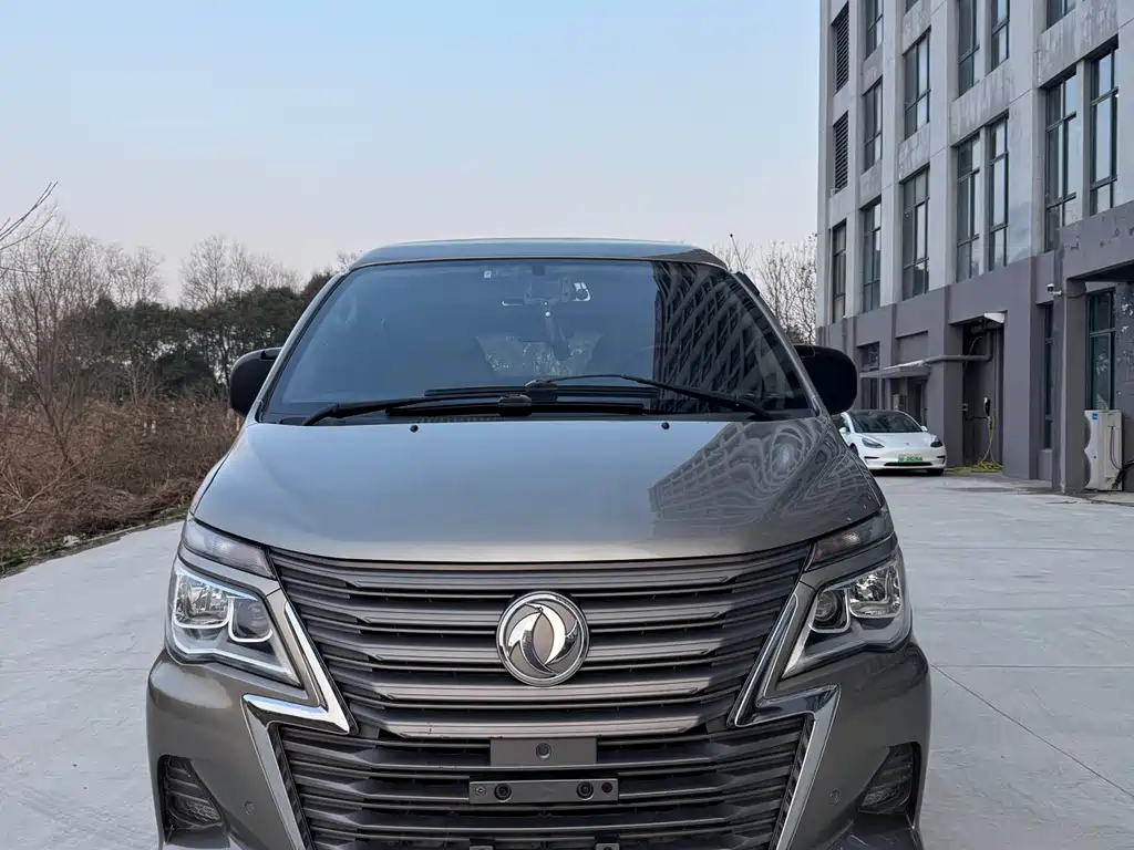 DONGFENG LINGZHI