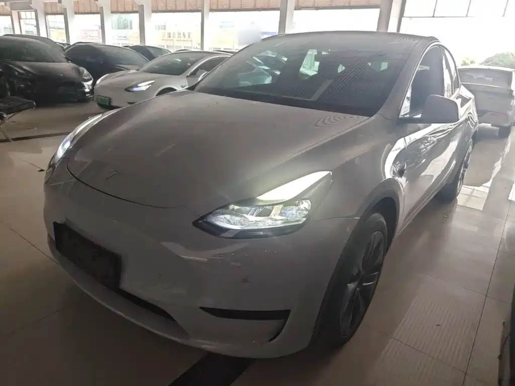 Tesla Model Y — миниатюра 2