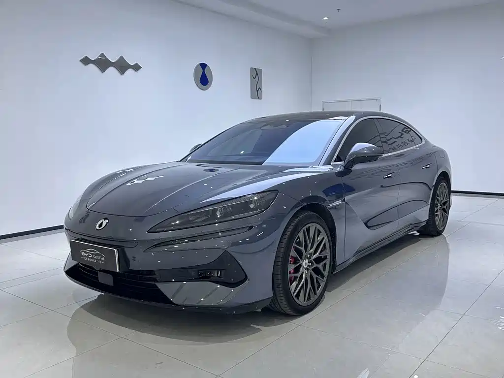 Denza Denza Z9 — миниатюра 12