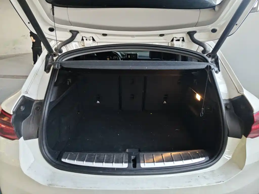 BMW X2 (Import) — миниатюра 19