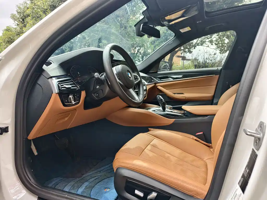 BMW 5 Series 5 2020 530Li Premium M Sport