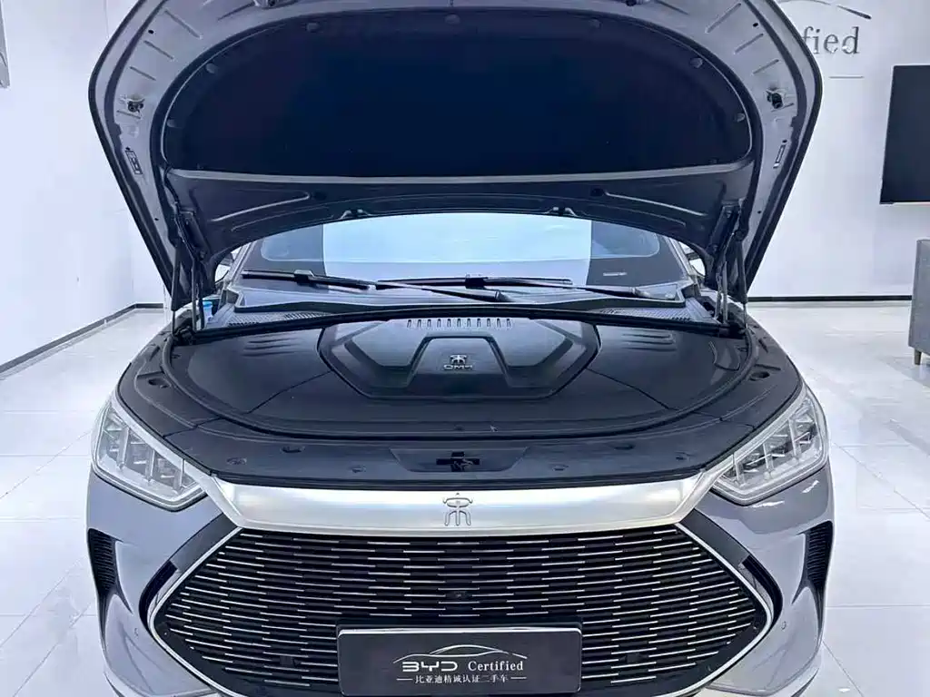BYD PLUS New Energy — миниатюра 2