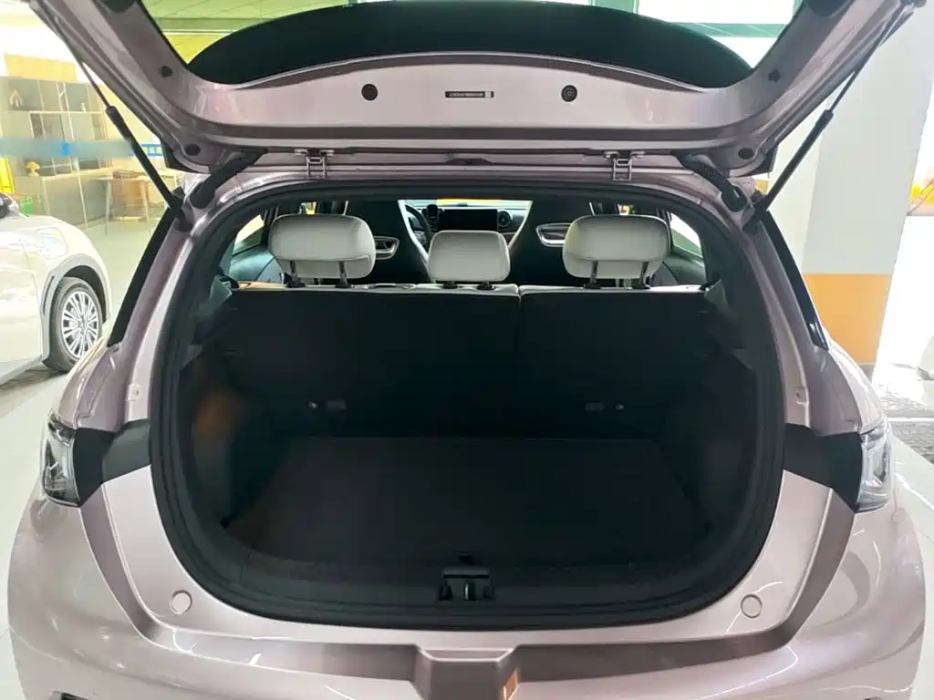 BYD Dolphin — миниатюра 19