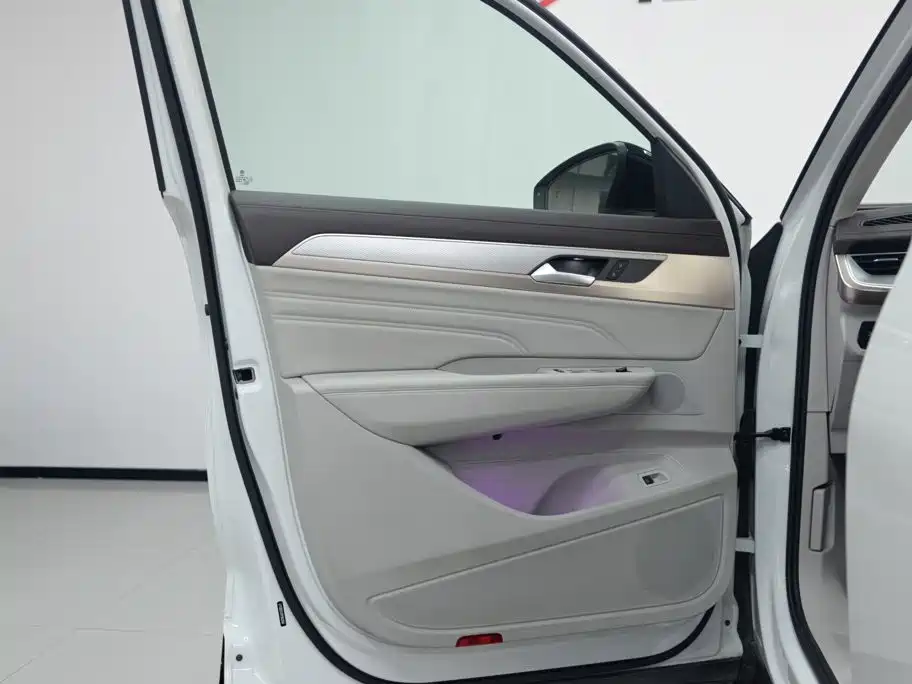 Volkswagen Tavendor — миниатюра 7