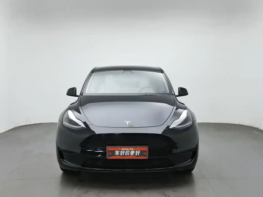 Tesla Model Y — миниатюра 3