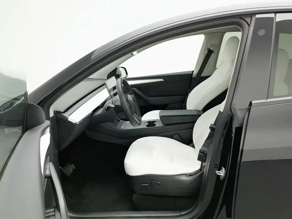 Tesla Model Y — миниатюра 10