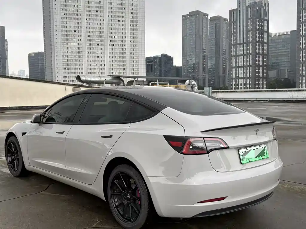 Tesla Model 3 — миниатюра 4