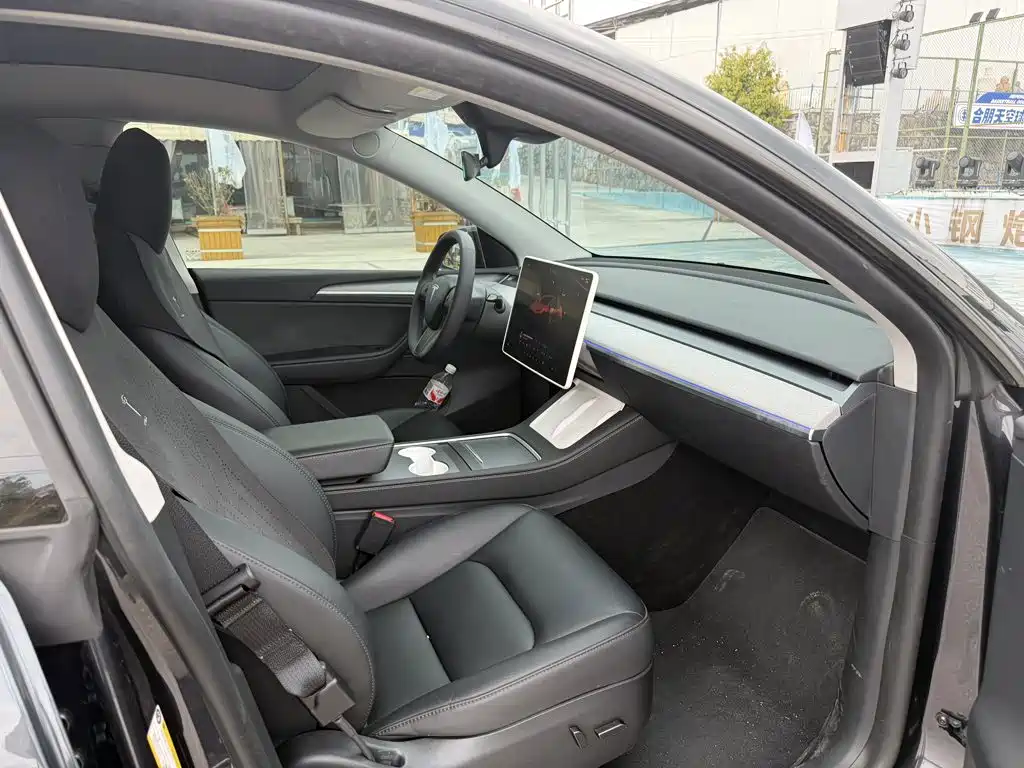 Tesla Model Y — миниатюра 10