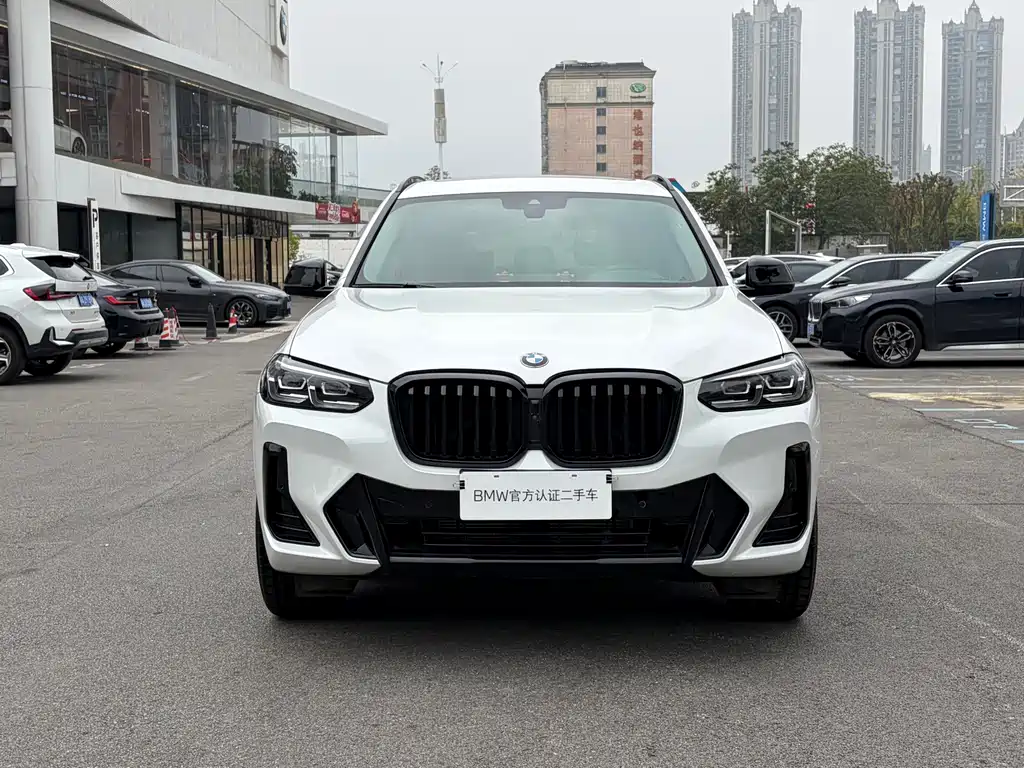 BMW X3 — миниатюра 2