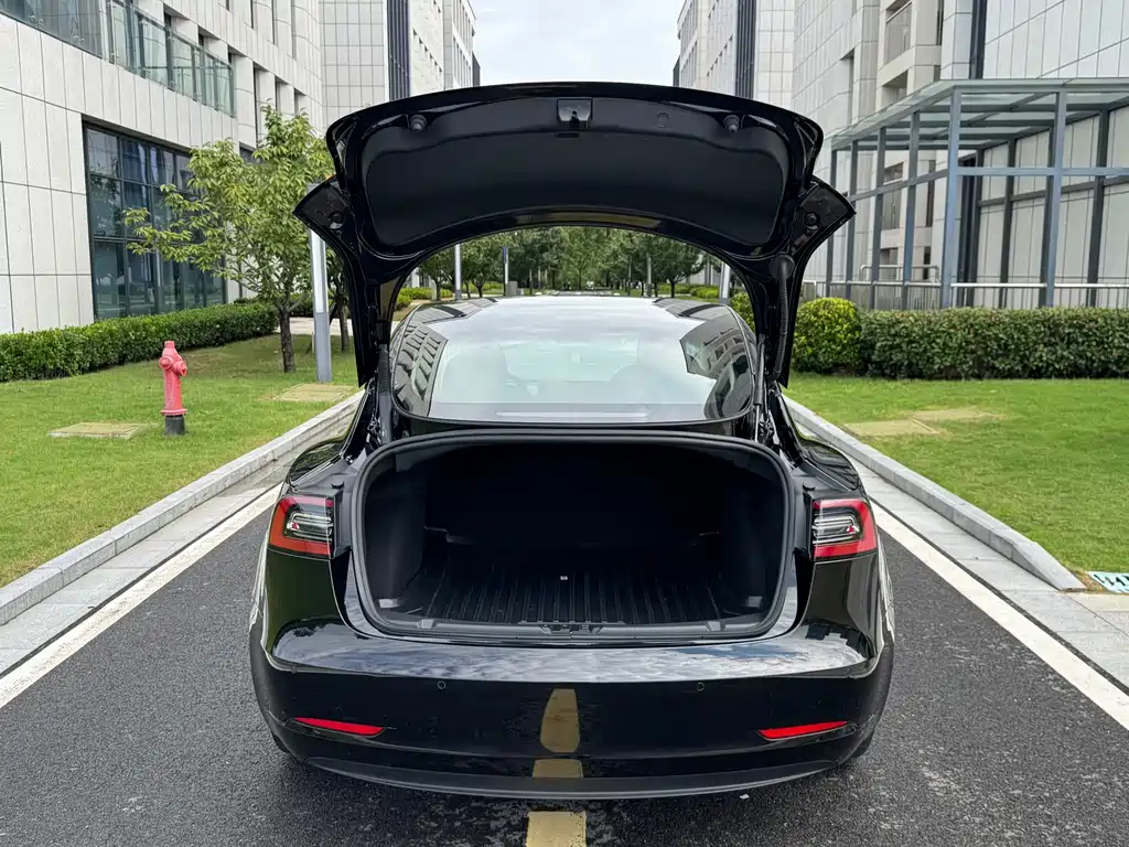 Tesla Model 3 — миниатюра 5