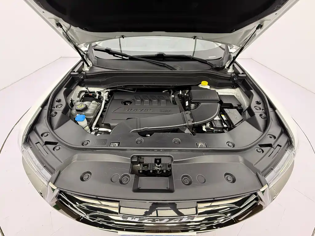 Haval H6 National Trend Edition 1.5GDIT Auto Champion Edition, фото 8