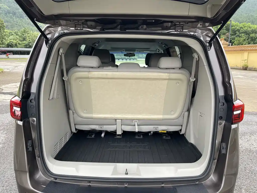 Buick GL8 — миниатюра 21