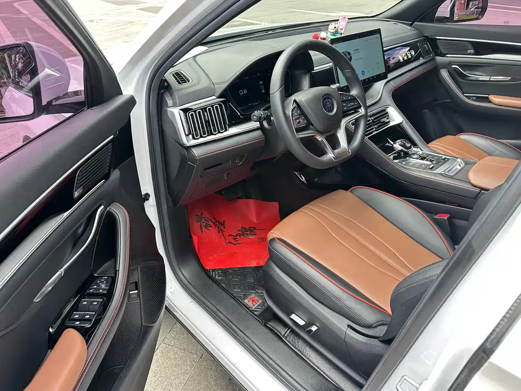 BYD PLUS — миниатюра 6