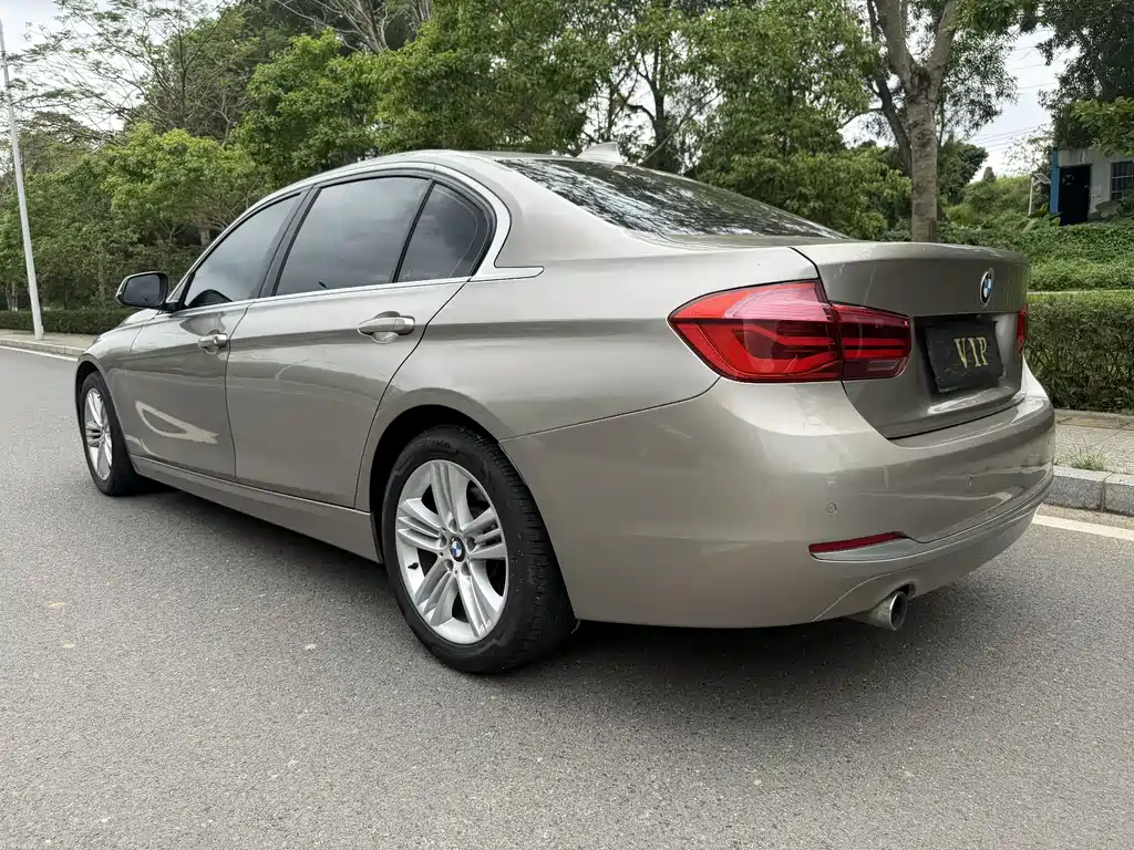 BMW 3 Series 3 2018 318Li