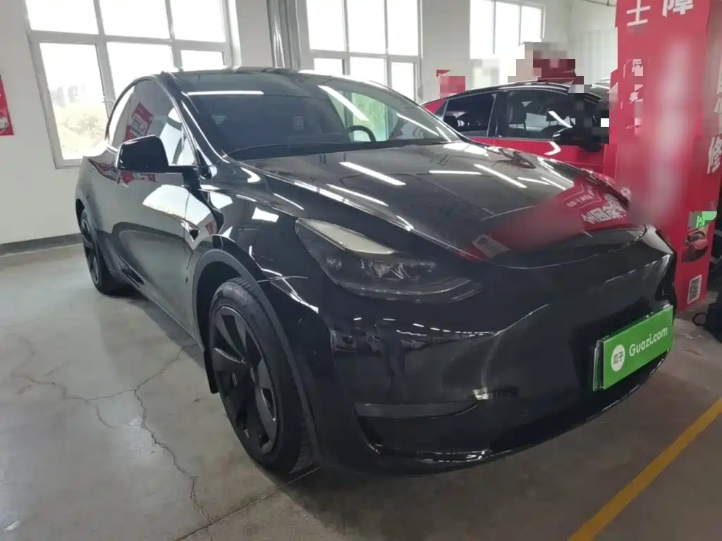 Tesla Model Y — миниатюра 4