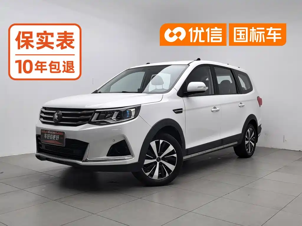 Fengxing Fengxing SX6