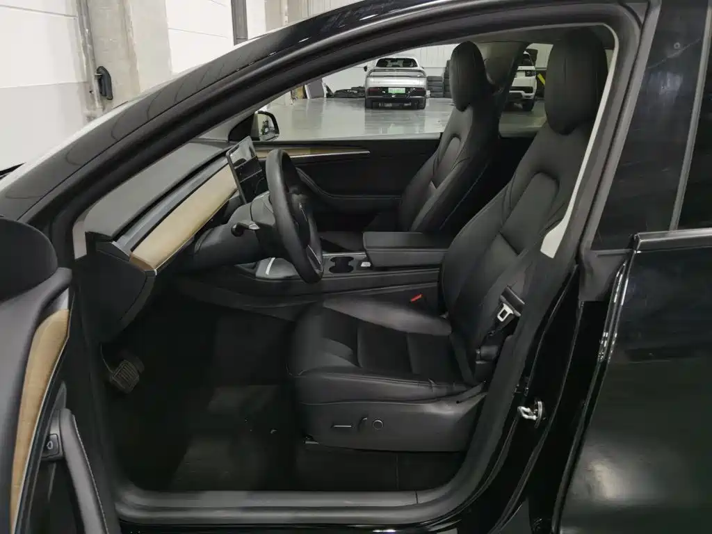 Tesla Model Y — миниатюра 10