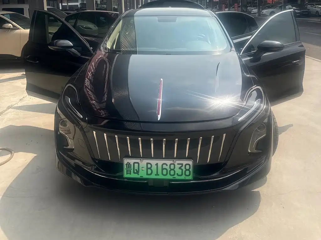 Hongqi Hongqi E-QM5 — миниатюра 2