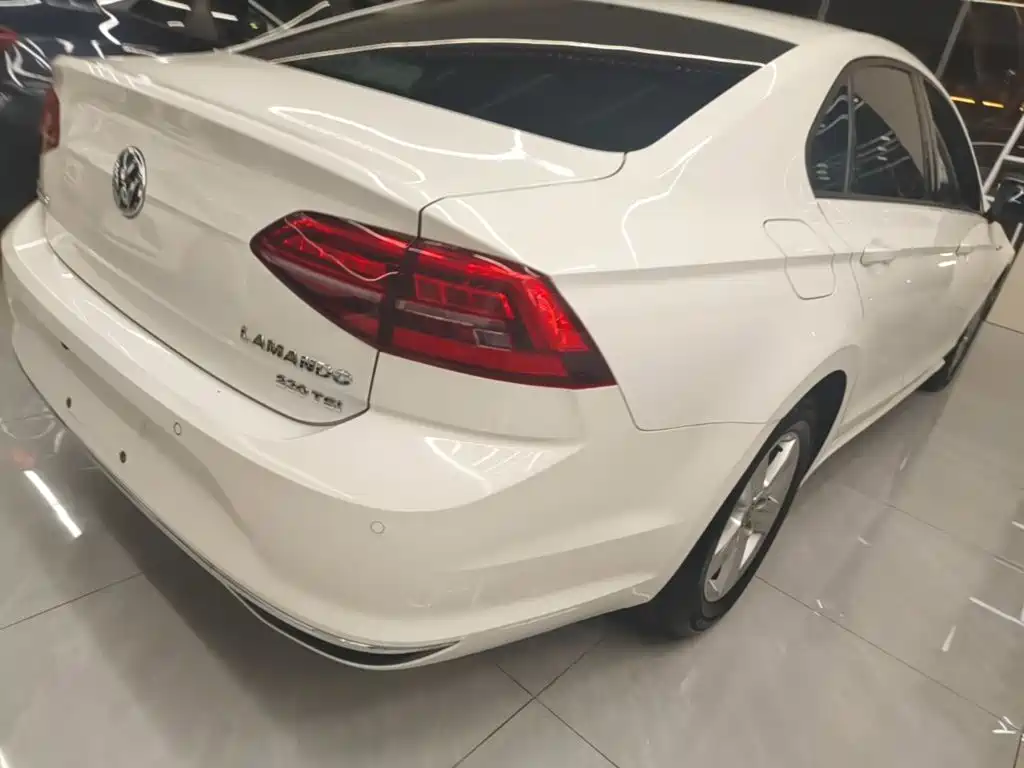 Volkswagen Lamando — миниатюра 8