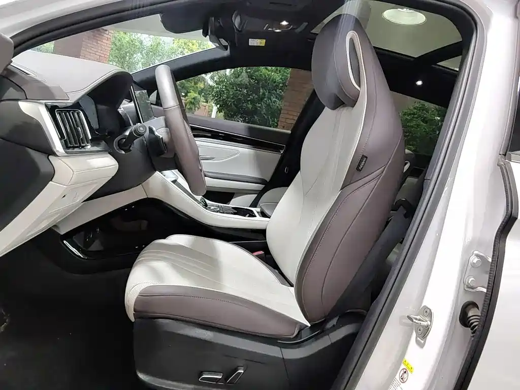 BYD PLUS New Energy — миниатюра 9