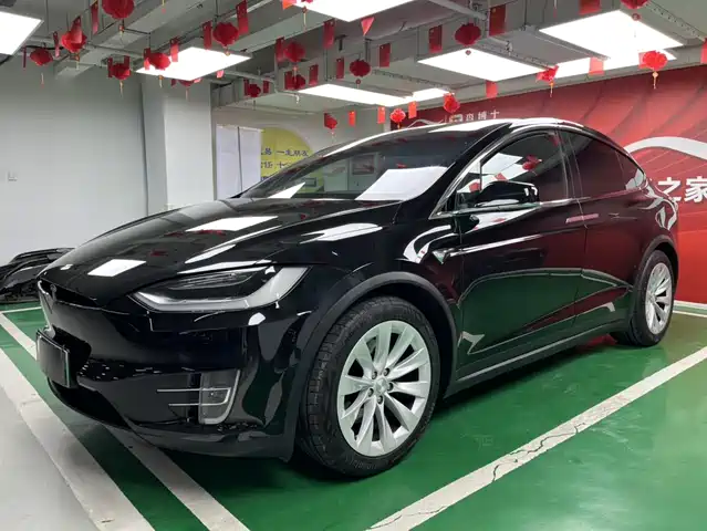 TESLA MODEL X 2017