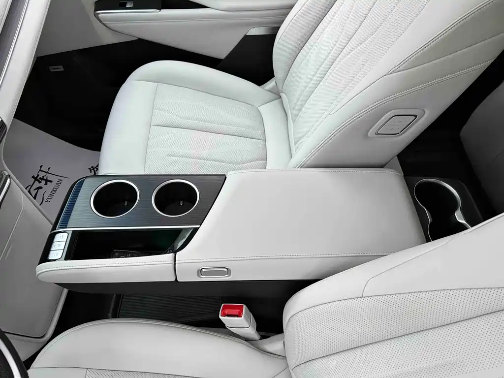 Buick GL8 Hybrid — миниатюра 14